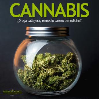 Cannabis: ¿Droga callejera, remedio casero o medicina?