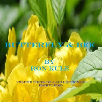 Butterfly & Bee: Volume Three of a Collection of Haikulisms