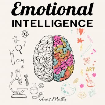 Emotional Intelligence 2.0: Top Strategies for Mastering Your Emotions: Learn How To Measure &amp; Improve Your Emotional Intelligence [Written by Anas Malla] episode artwork