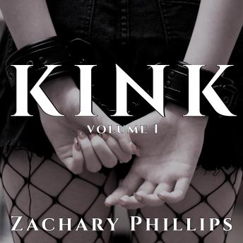 Kink: Volume 1