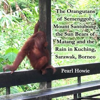 The Orangutans of Semenggoh, Mount Santubong, the Sun Bears of Matang and the Rain in Kuching, Sarawak, Borneo