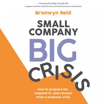 Small Company Big Crisis: How to prepare for, respond to, and recover from a business crisis sample.