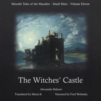 The Witches' Castle (Moonlit Tales of the Macabre - Small Bites Book 11)