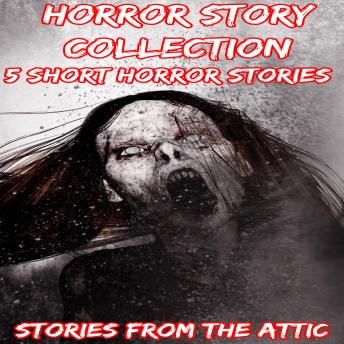 Horror Story Collection: 5 Short Horror Stories