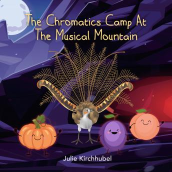 The Chromatics Camp At The Musical Mountain