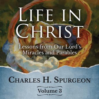 Life in Christ Vol 3: Lessons from Our Lord's Miracles and Parables