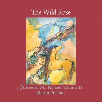 Wild Rose: Stories of My Horses: Volume II, Martín Prechtel