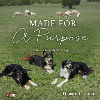 Indulge In The Transformative Full Audiobook Now, Busy Professionals!