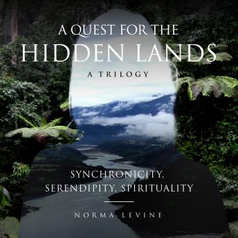 Download Quest for the Hidden Lands: Synchronicity, Serendipity, Spirituality by Norma Levine