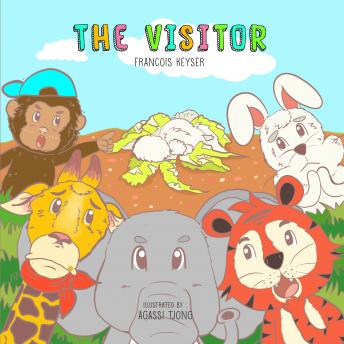 The Visitor: Don't judge a book by its cover