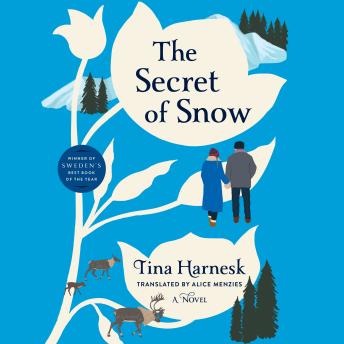 The Secret of Snow: A Novel