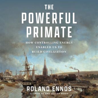 The Powerful Primate: How Controlling Energy Enabled Us to Build Civilization