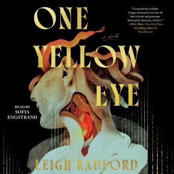 One Yellow Eye