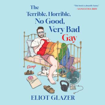 The Terrible, Horrible, No Good, Very Bad Gay: Essays