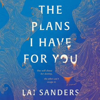 The Plans I Have for You: A Novel