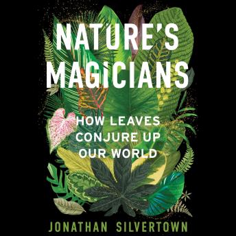 Nature's Magicians: How Leaves Conjure Up Our World