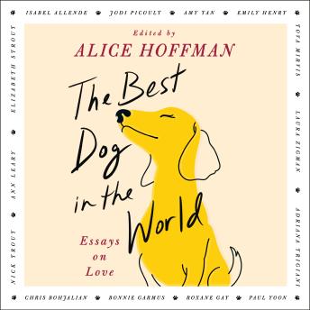 The Best Dog in the World: Essays on Love