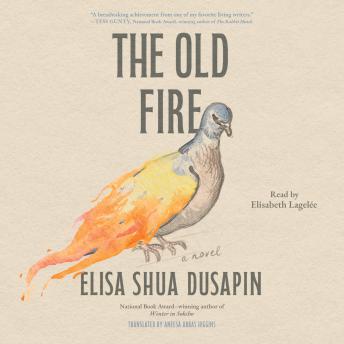 The Old Fire: A Novel
