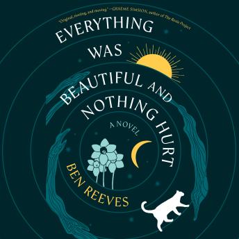 Everything Was Beautiful and Nothing Hurt: A Novel