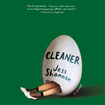 Cleaner: A Novel