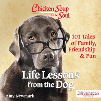 Chicken Soup for the Soul: Life Lessons from the Dog: 101 Tales of Family, Friendship & Fun