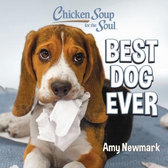 Chicken Soup for the Soul: Best Dog Ever