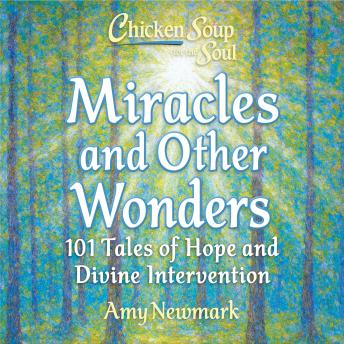 Chicken Soup for the Soul: Miracles and Other Wonders: 101 Tales of Hope and Divine Intervention