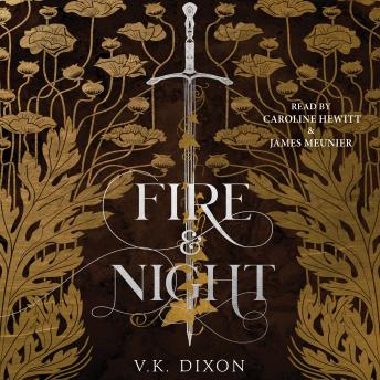 Fire & Night
