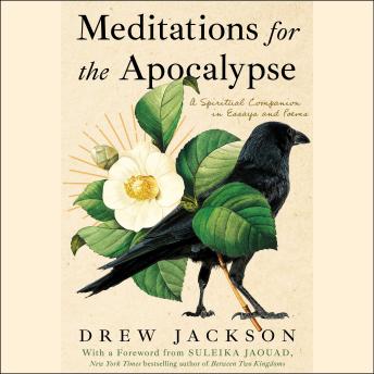 Meditations for the Apocalypse: A Spiritual Companion in Essays and Poems