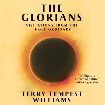 The Glorians: Visitations from the Holy Ordinary