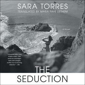 The Seduction: A Novel