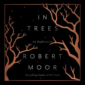 In Trees: An Exploration