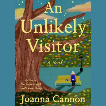 An Unlikely Visitor: A Novel