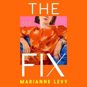 The Fix: A Novel