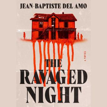 The Ravaged Night: A Novel