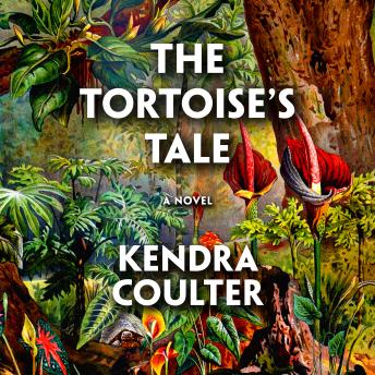 The Tortoise's Tale: A Novel