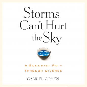Download Storms Can't Hurt the Sky: The Buddhist Path through Divorce by Gabriel Cohen