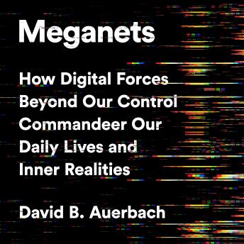 Meganets: How Digital Forces Beyond Our Control  Commandeer Our Daily Lives and Inner Realities