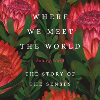 Download Where We Meet the World: The Story of the Senses by Ashley Ward