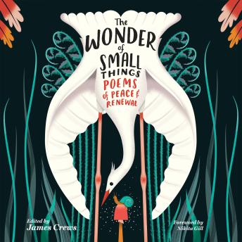 The Wonder of Small Things: Poems of Peace and Renewal