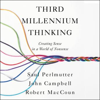 Third Millennium Thinking: Creating Sense in a World of Nonsense