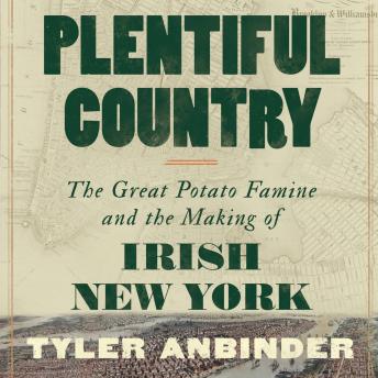 Download Plentiful Country: The Great Potato Famine and the Making of Irish New York by Tyler Anbinder