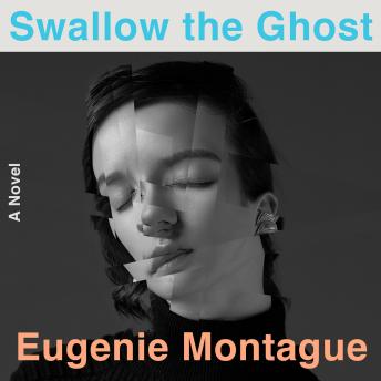 Swallow the Ghost: A Novel