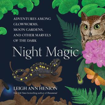 Night Magic: Adventures Among Glowworms, Moon Gardens, and other Marvels of the Dark