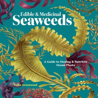 Edible & Medicinal Seaweeds: A Guide to Healing & Nutritive Ocean Plants