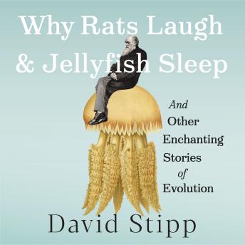 The Why Rats Laugh and Jellyfish Sleep: And Other Enchanting Stories of Evolution