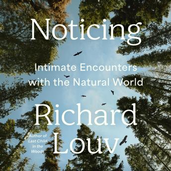 Noticing: Intimate Encounters With the Natural World