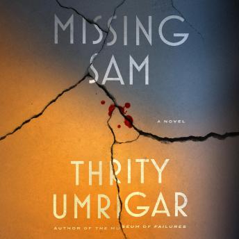 Missing Sam: A Novel