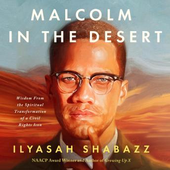 Malcolm in the Desert: Wisdom from the Spiritual Transformation of Malcolm X