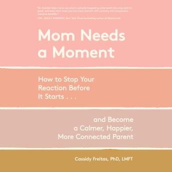 Mom Needs a Moment: How to Stop Your Reaction Before It Starts . . . and Become a Calmer, Happier, More Connected Parent